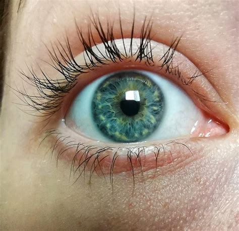 Blue eyes & Green Eyes .